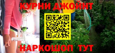 гидра Дубна