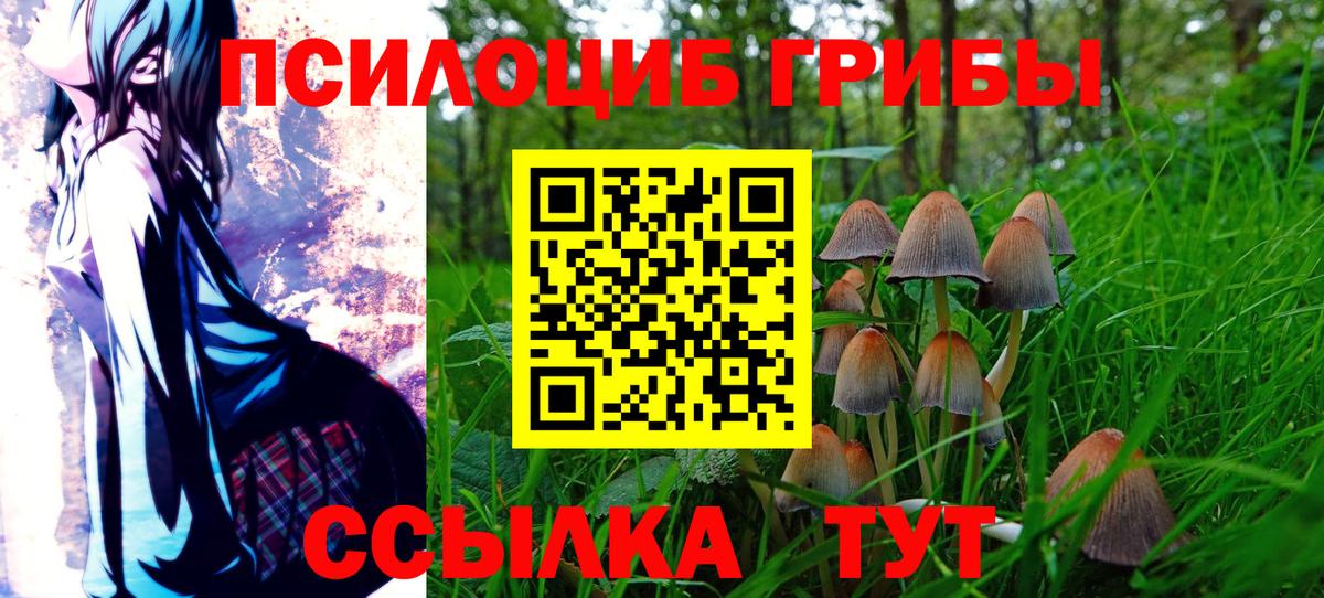 Псилоцибиновые грибы мицелий Сочи