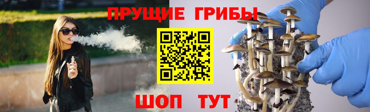 где найти   Вход с VPN  Сочи  Галлюциногенные грибы Psilocybine cubensis 